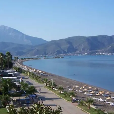 Tala 6 *